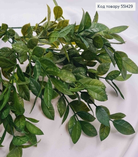 Искусственная композиция Декоративная Зелень, ЗЕЛЕНОГО цвета, 7 веточек, высота 35см 551429 фото 3