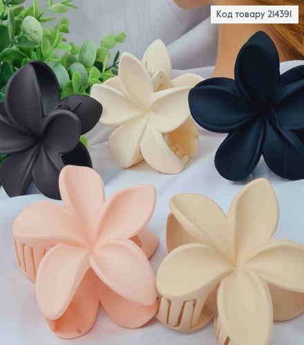 Краб пластик матовый, "Гавайский Цветок", размер 8см, Пастельные цвета в ассортименте. 214391 фото 2